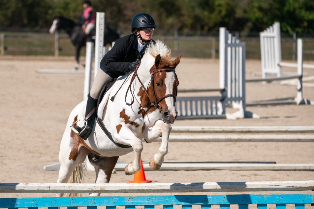 11th Annual IHC Octoberfest Horse Show1