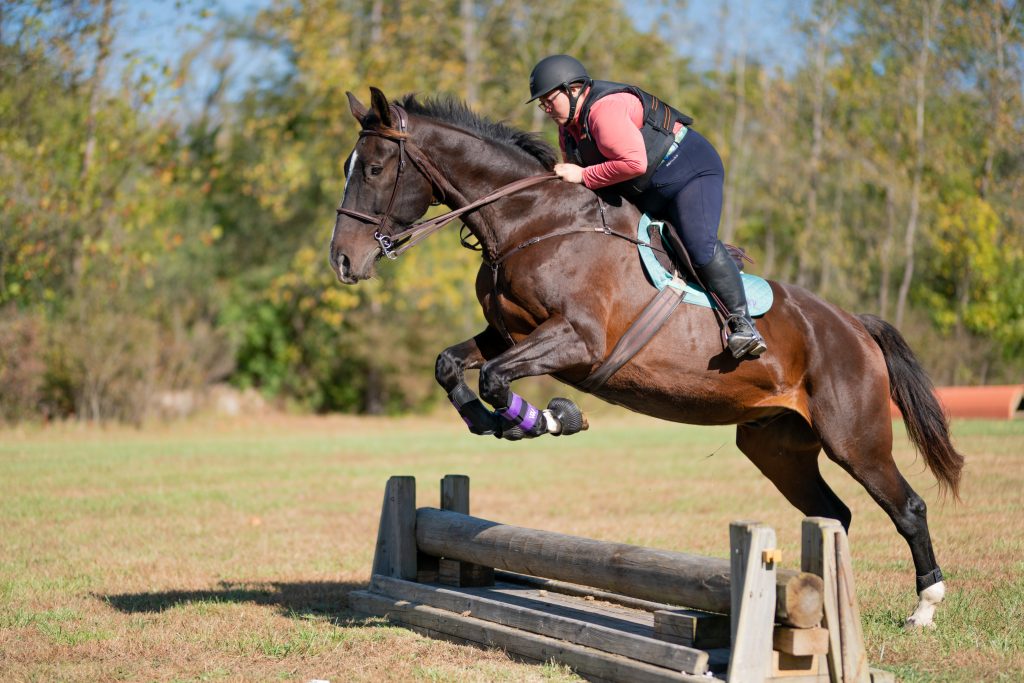 11th Annual IHC Octoberfest Horse Show11