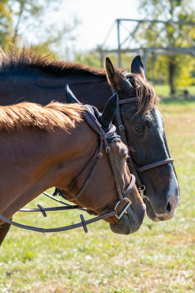11th Annual IHC Octoberfest Horse Show13