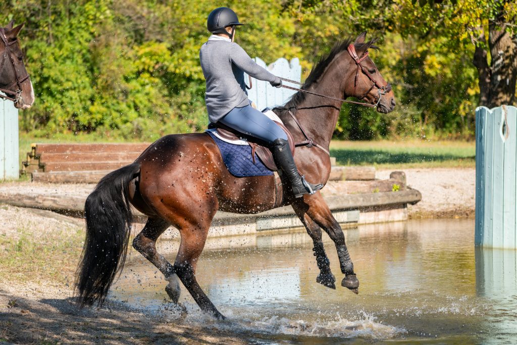 11th Annual IHC Octoberfest Horse Show6