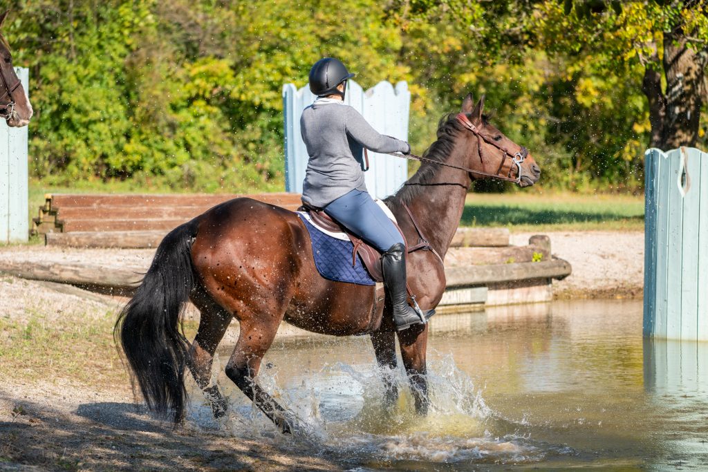 11th Annual IHC Octoberfest Horse Show7